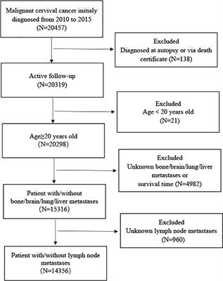 Development and validation of a nomogram for predicting pelvic lymph node metastasis and prognosis in patients with cervical cancer